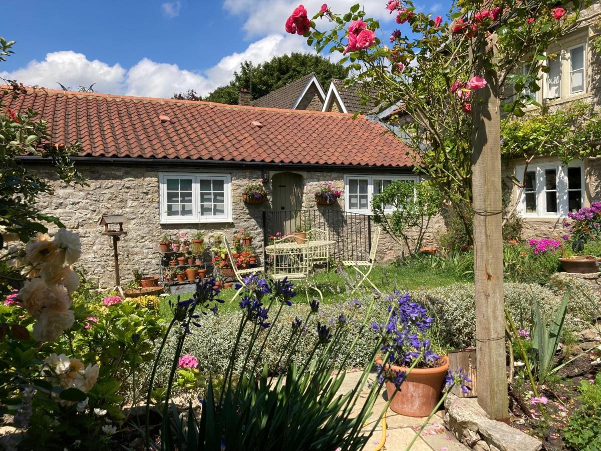 Bed and Breakfast Maplestone Shepton Mallet Exteriér fotografie