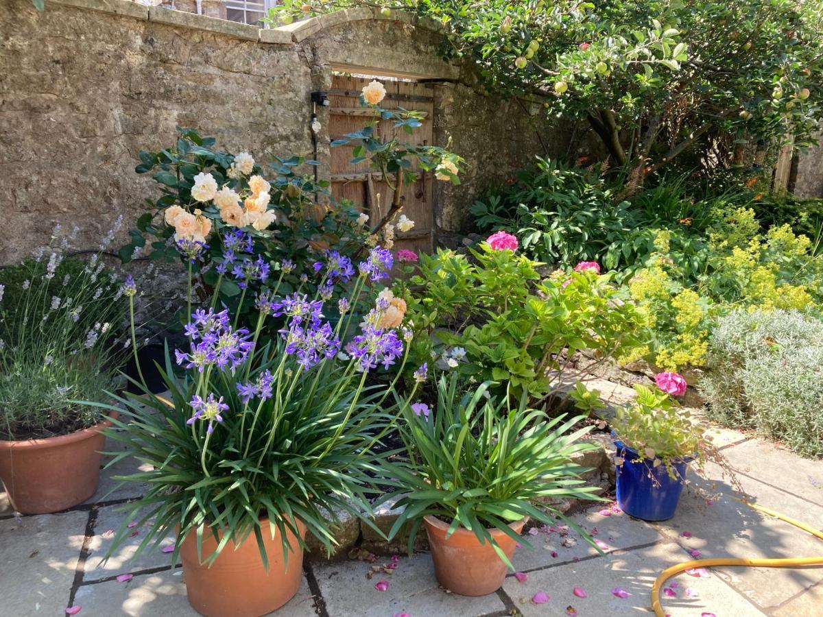 Bed and Breakfast Maplestone Shepton Mallet Exteriér fotografie