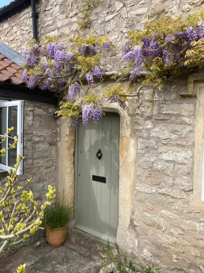 Bed and Breakfast Maplestone Shepton Mallet Exteriér fotografie