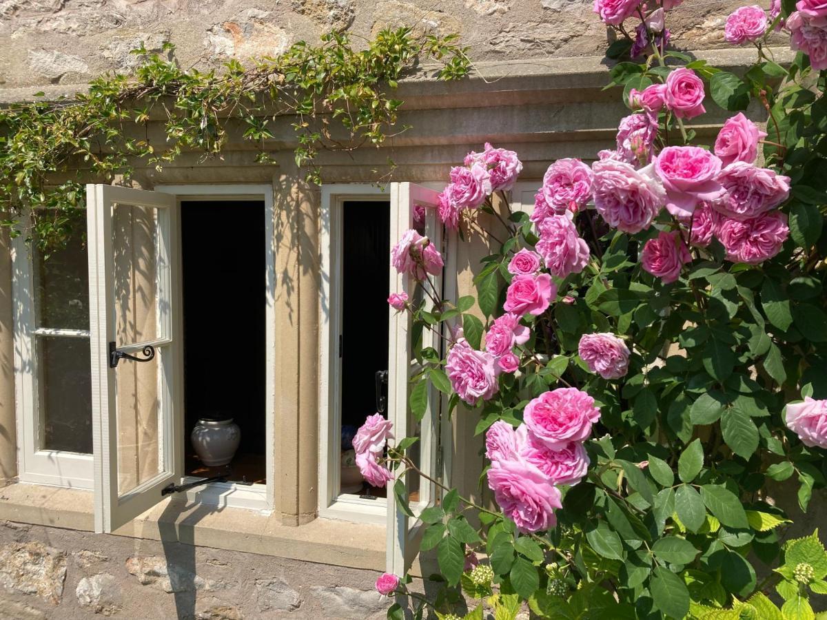 Bed and Breakfast Maplestone Shepton Mallet Exteriér fotografie