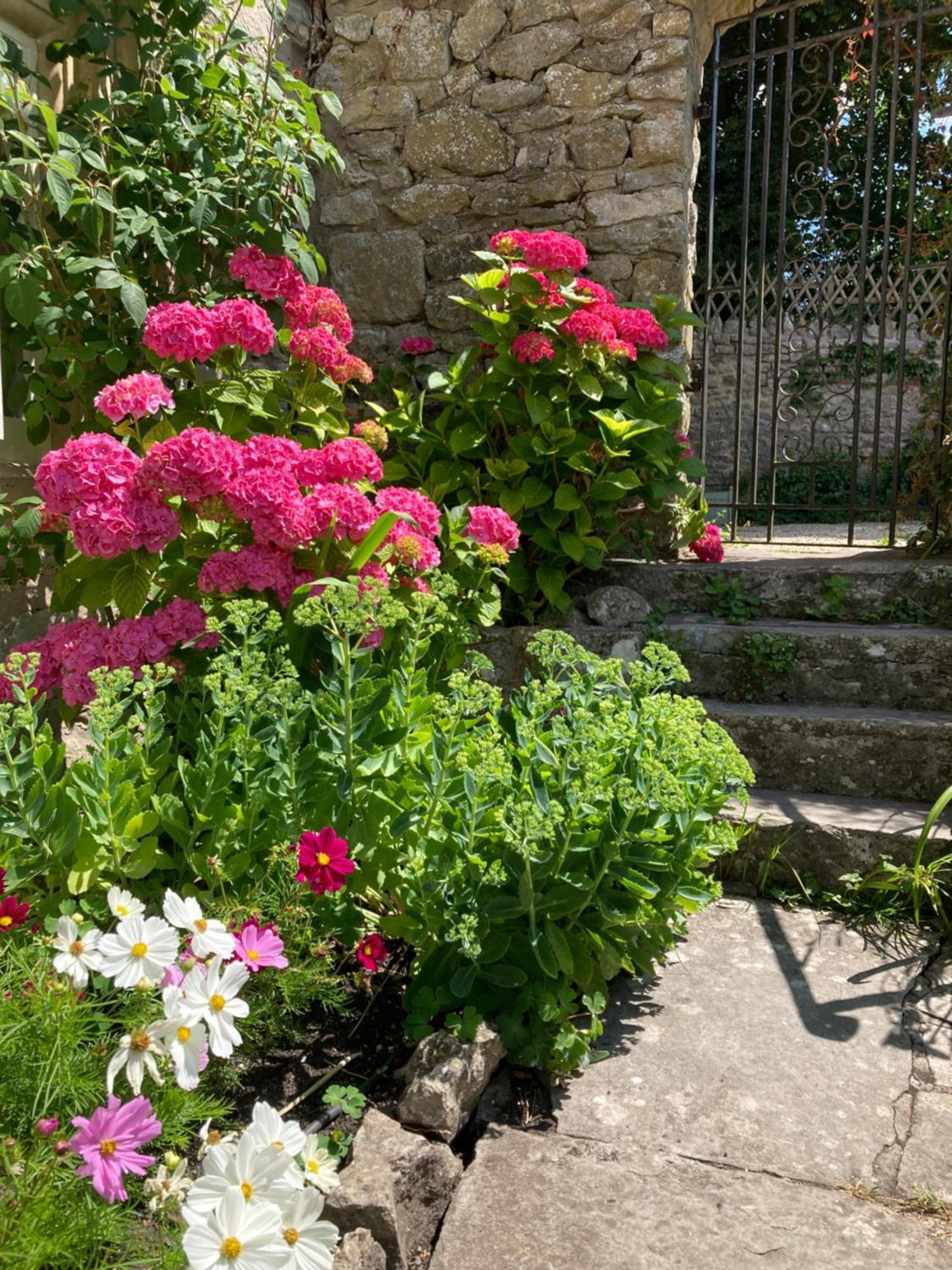 Bed and Breakfast Maplestone Shepton Mallet Exteriér fotografie