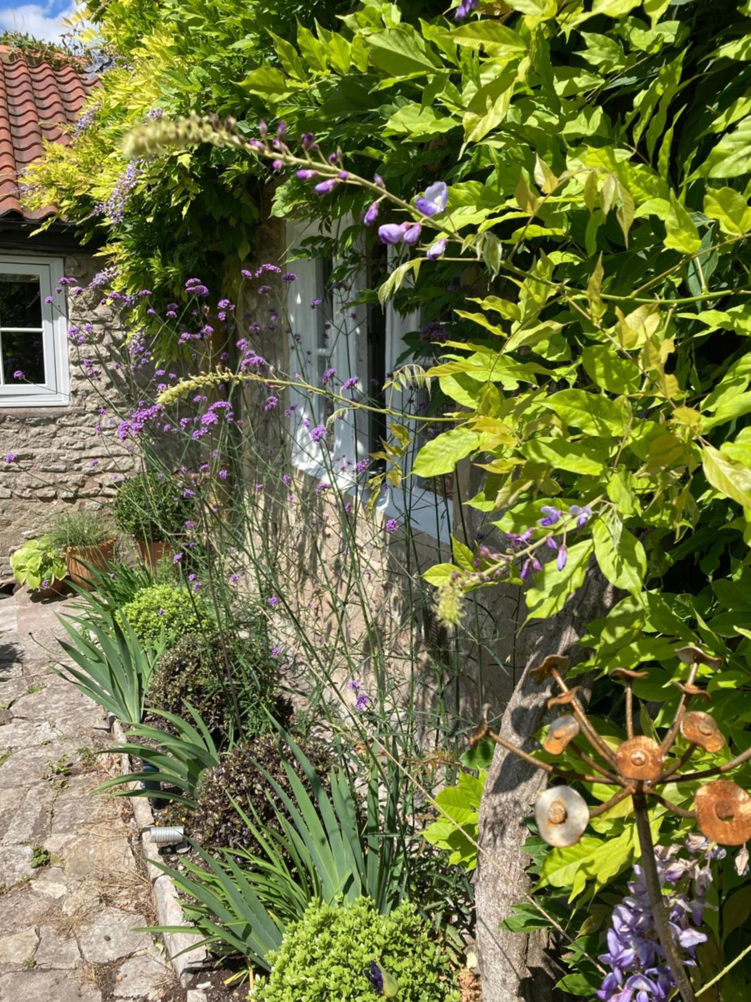 Bed and Breakfast Maplestone Shepton Mallet Exteriér fotografie